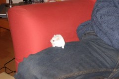 IMG_0111